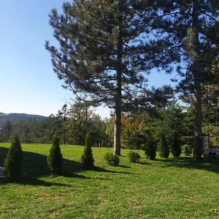 Sumske Price Divčibare