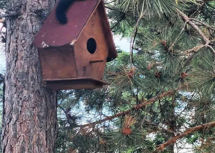 Sumske Price 펜션 Divčibare